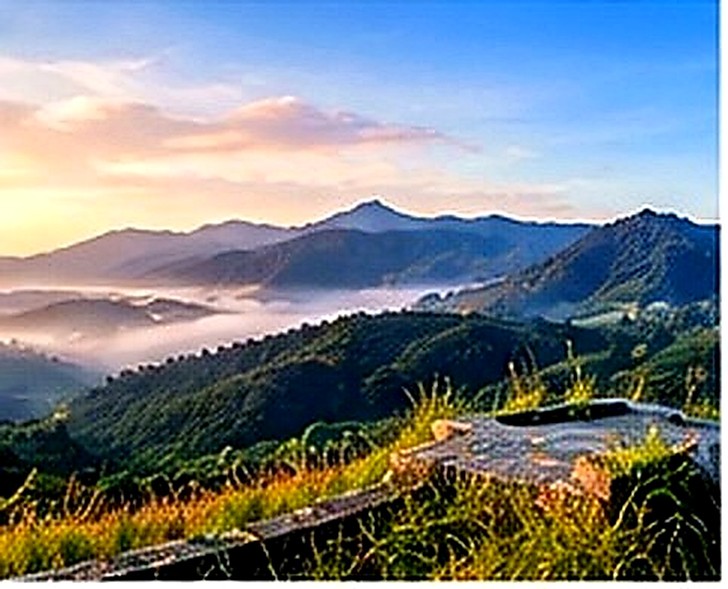 Traveler exploring green mountain scenery