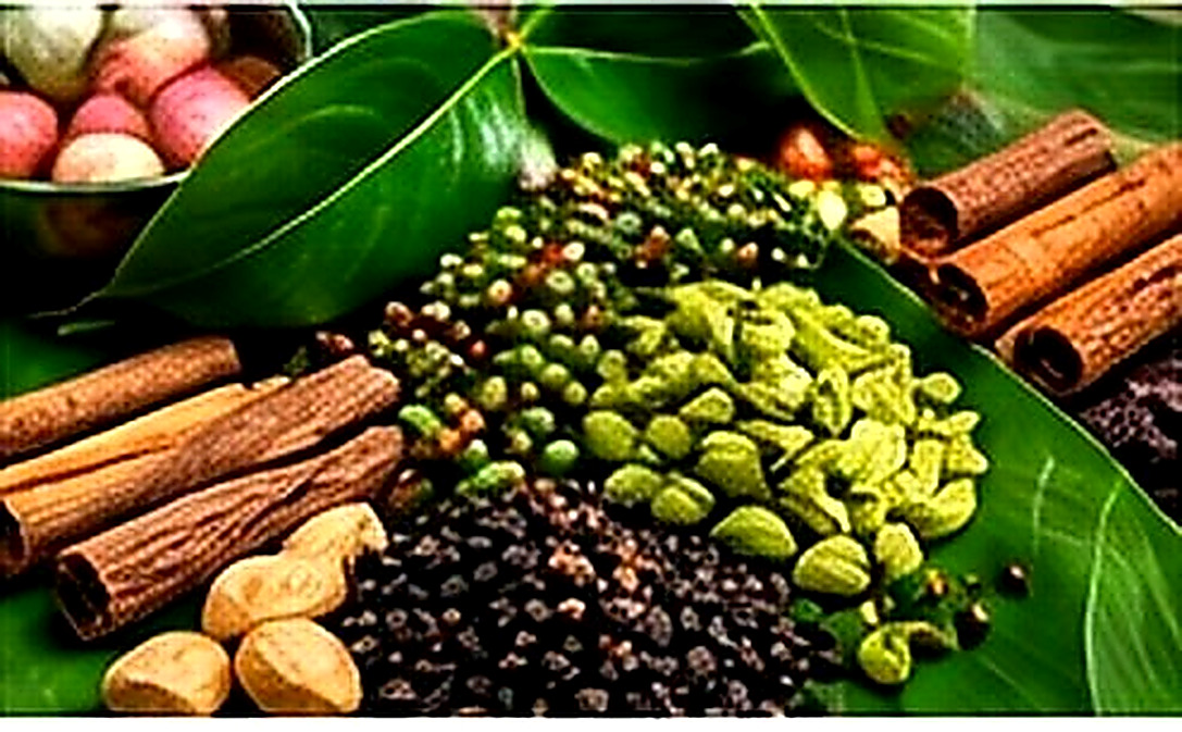 Traditional spices and travel planning
