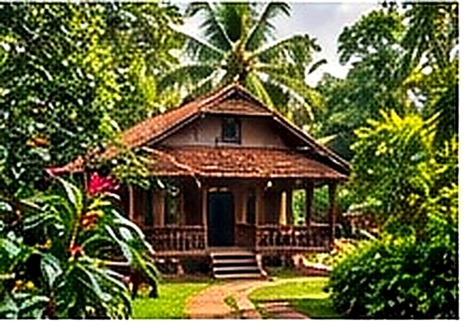 Kerala Village Life in Kerala